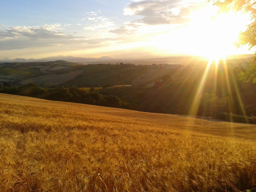 B&B La Collina Dorata Offagna Exteriör bild